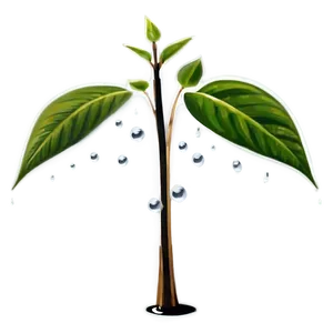 Small Plant With Droplets PNG 29