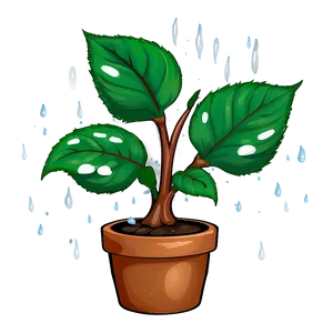 Small Plant With Droplets PNG Tmy