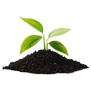 Small Plant With Soil PNG 98