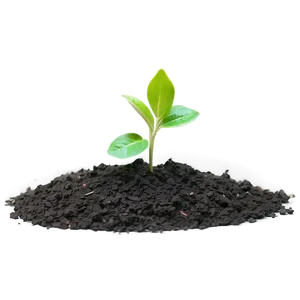 Small Plant With Soil PNG Heb7