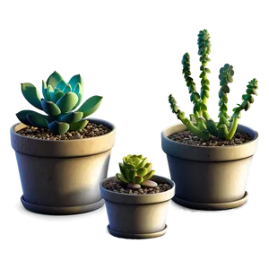 Small Potted Succulents Png 72 PNG image