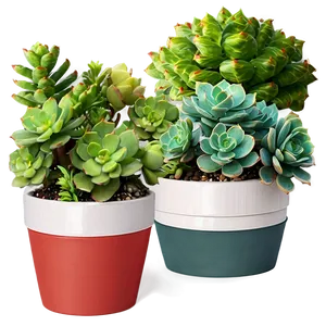 Small Potted Succulents Png Cuf46 PNG image