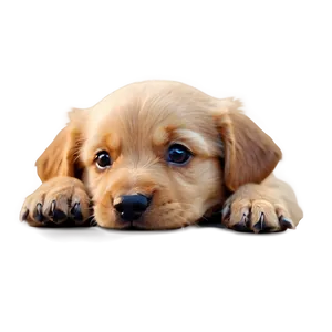 Small Puppy Nose PNG 4 PNG