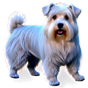 Small Shaggy Dog Image PNG 13 PNG
