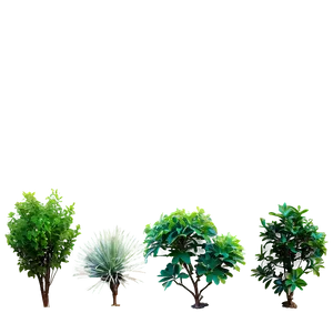 Small Shrubs PNG Rdx