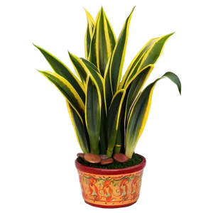 Small Snake Plant Png 80 PNG image