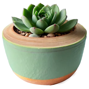 Small Succulent Gifts Png 40 PNG image