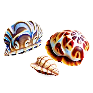 Small To Large Shells PNG Ppx85