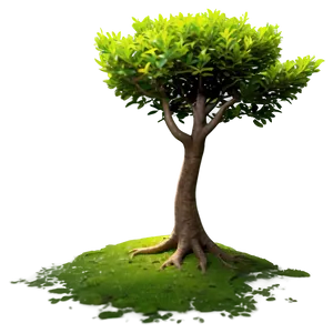 Small Tree A PNG image