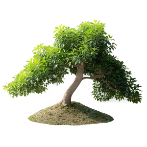 Small Tree On Hill PNG 06132024 PNG
