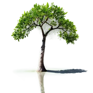 Small Tree Reflection PNG 84 PNG
