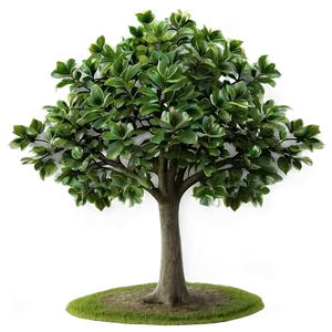 Small Tree Transparent Background Png Nte5 PNG image