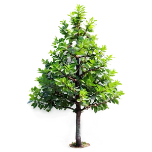 Small Tree Transparent Background Png Wdh61 PNG image