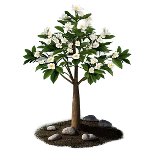 Small Tree With Flowers PNG 06132024