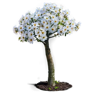 Small Tree With Flowers PNG 5 PNG