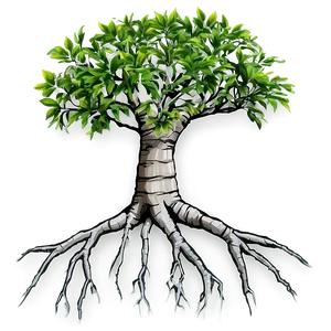 Small Tree With Roots PNG 06132024