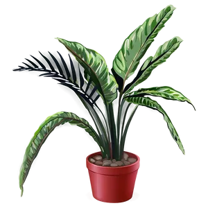 Small Tropical Plant PNG Deg48 PNG