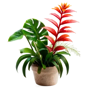 Small Tropical Plant PNG Den PNG