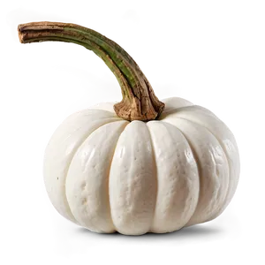 Small White Pumpkin PNG 06212024 PNG