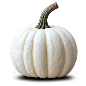 Small White Pumpkin PNG Aow79 PNG