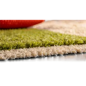 Smart Home Carpet PNG Dnm43 PNG