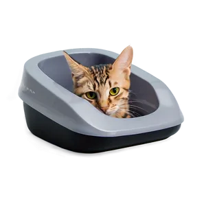 Smart Litter Box PNG 06212024