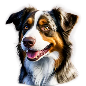 Smiling Australian Shepherd PNG 66 PNG