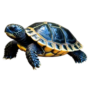 Smiling Baby Turtle PNG Qbe73