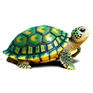 Smiling Baby Turtle PNG Ugd53 PNG