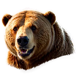 Smiling Bear Cartoon PNG 05032024