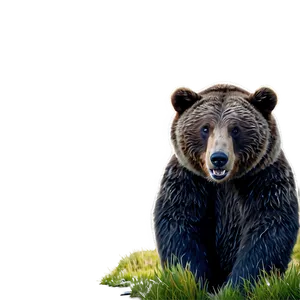 Smiling Bear Cartoon PNG Ngg70