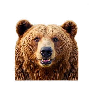 Smiling Bear Face PNG 20