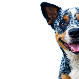 Smiling Blue Heeler Dog Png 06282024 PNG image