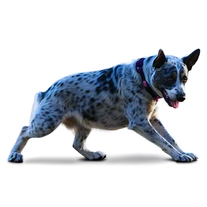 Smiling Blue Heeler Dog Png Qgj29 PNG image