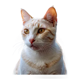 Smiling Cat Face PNG Sen PNG