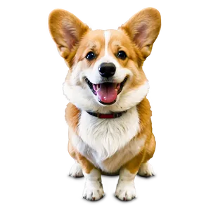 Smiling Corgi PNG 32 PNG
