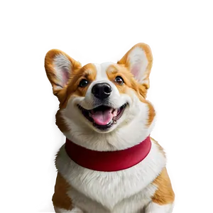 Smiling Corgi PNG 9