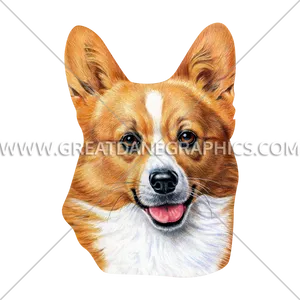 Smiling Corgi Portrait PNG
