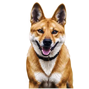 Smiling Dingo Image Png Qkj65 PNG image