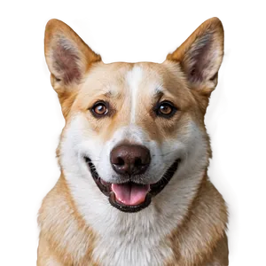 Smiling Dog Head Image Png 06212024 PNG image