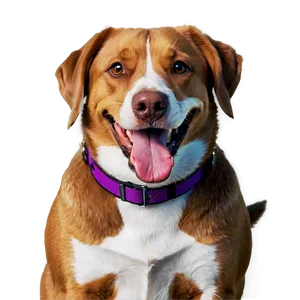 Smiling Dogs PNG Tql11