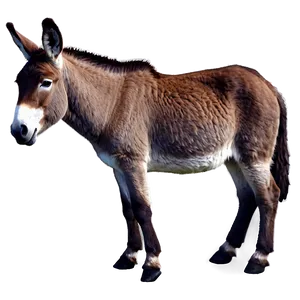 Smiling Donkey Graphic PNG 05232024