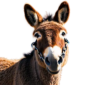 Smiling Donkey Graphic PNG 15