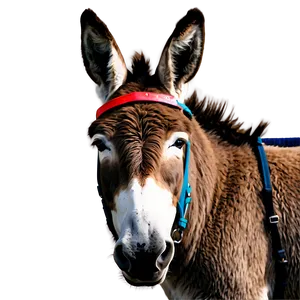 Smiling Donkey Graphic PNG 2