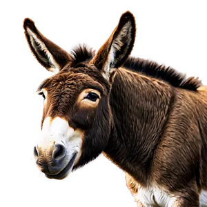 Smiling Donkey Graphic PNG 80