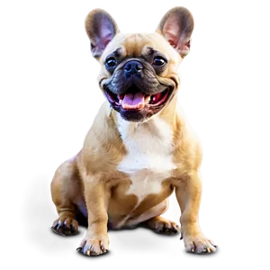 Smiling French Bulldog PNG 06202024