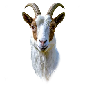 Smiling Goat Png Qgs PNG image