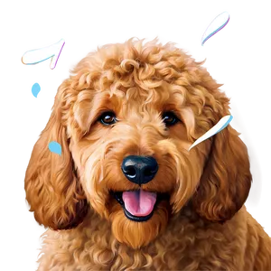 Smiling Goldendoodle PNG Usf54 PNG