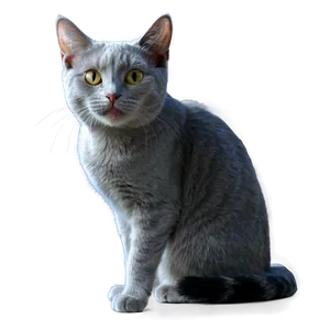 Smiling Grey Cat PNG 06252024 PNG