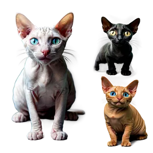 Smiling Hairless Cat PNG Rfi50 PNG
